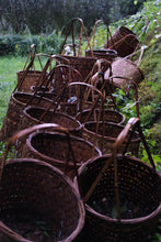 Load image into Gallery viewer, Wuyi Mountain Rock Tea • Shui Lian Dong Zheng Yan Rou Gui/“笑纳”水帘洞正岩肉桂