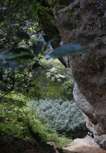 Load image into Gallery viewer, Wuyi Rock Tea Zheng Yan “Bi Shi Yan Rou Gui”