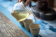 Load image into Gallery viewer, 2020 Old Banzhang Ancient Tree Pu'er Sheng easy