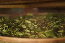 Load image into Gallery viewer, Zheng Yan Lotus Peak "Ruixiang"