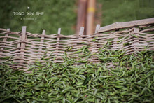 Load image into Gallery viewer, 2022 White Tea Collection