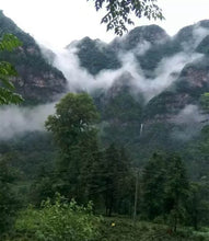 Load image into Gallery viewer, Gui Ding Yun Wu Tea