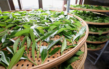 Load image into Gallery viewer, Limited Time Event: Buy 1 Get 1 Free. 2020 Ecological Gao Cong Shui Xian(高枞水仙)