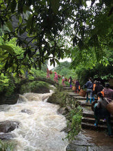 Load image into Gallery viewer, Wuyi Mountain Rock Tea "Su Xin Lan"