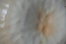 Load image into Gallery viewer, Soda Glazed Teochew Kettle