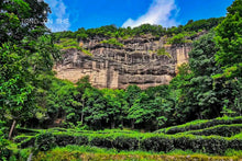 Load image into Gallery viewer, Bulguk Rock Rou Gui/佛国岩肉桂