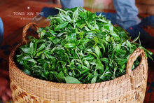 Load image into Gallery viewer, Pazhen Dragon Pearl (Raw Pu-erh Tea)