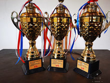 Load image into Gallery viewer, "The Cup of China"|Gold Award Rou Gui