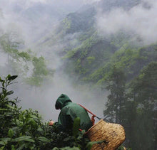 Load image into Gallery viewer, Wild White Tea - 2018