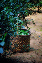 Load image into Gallery viewer, Niu Lan Keng Rou Gui/牛栏坑肉桂(二道火)