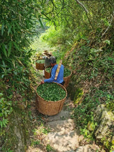 Load image into Gallery viewer, Limited Time Event: Buy 1 Get 1 Free. 2020 Ecological Gao Cong Shui Xian(高枞水仙)