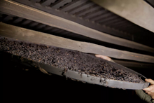 Load image into Gallery viewer, 2019 Lao Cong Lapsang Souchong(聆听岁月)