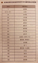 Load image into Gallery viewer, 2020/Huang Guan Yin (黄观音代号105)