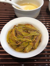 Load image into Gallery viewer, 2022“白鸡冠/White Cockscomb /Bai Ji Guan)