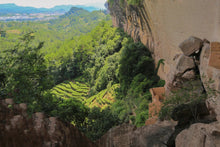 Load image into Gallery viewer, Jade Flower Cave Zheng Yan Shui Xian