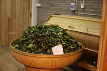 Load image into Gallery viewer, "The Cup of China"|Gold Award Shui Xian金奖水仙