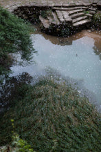 Load image into Gallery viewer, Zou Ma Lou Zheng Yan Rou Gui “半盏时光”