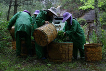 Load image into Gallery viewer, Zheng Yan Lotus Peak "Ruixiang"