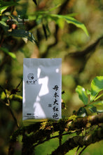 Load image into Gallery viewer, Wuyi Mountain Rock Tea: purebred dahongpao(母本大红袍)