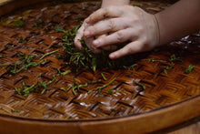 Load image into Gallery viewer, 2021 Wuyi Rock Tea Bergamot (Sydney)佛手/雪梨