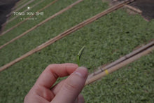 Load image into Gallery viewer, 2022 White Tea Collection