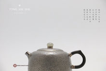 Load image into Gallery viewer, Man Sheng sterling silver teapot
