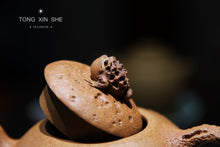 Load image into Gallery viewer, "Chan Bao"《蟾宝》 陈真制作200cc