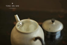 Load image into Gallery viewer, Jing Zhe Sterling silver teapot 惊蛰纯银茶壶