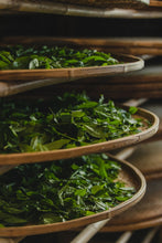 Load image into Gallery viewer, Hui Yuan Keng Gu Jing Lao Cong /忆崇安