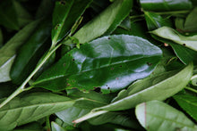Load image into Gallery viewer, 2022 Shui Lian Dong Zheng Yan Shui Xian