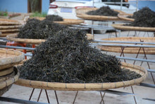 Load image into Gallery viewer, 2022 Daxueshan Ancient Tree Tea/Puer Sheng Tea