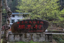 Load image into Gallery viewer, Fujian Wuyi Mountain Tongmuguan wild black tea