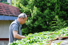 Load image into Gallery viewer, The first batch of national intangible cultural heritage Wuyi rock tea (Dahongpao) production skills inheritor: "Special Grade Handmade Ma Tou Yan Rou Gui" by Mr. Wang Guoxing: