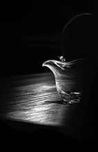 Load image into Gallery viewer, Tiliang Justice Cup