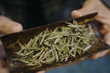 Load image into Gallery viewer, Charcoal Bai Hao Yin Zhen