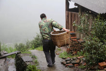 Load image into Gallery viewer, Limited Edition "Guwangkeng Jin Junmei"