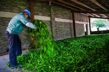 Load image into Gallery viewer, Jin You Di Da Hong Pao(金油滴大红袍)
