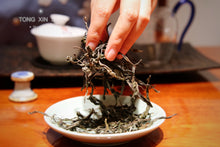 Load image into Gallery viewer, 2021 Xi Gui Dan Zhu Ancient Tree Puer Sheng Tea(2021年昔归单株古树茶)