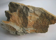 Load image into Gallery viewer, Rare Huanglongshan Benshan green clay "purple gold purple sand pot" made by Mr. Hui Xiangyun.