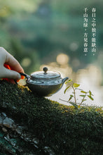 Load image into Gallery viewer, "Qianshan" sterling silver teapot 120m l