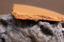 Load image into Gallery viewer, "Guling" Teapot Top Gold Duan Ni