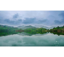 Load image into Gallery viewer, 2010 Wilderness Grade Two Mu Dan Old White Tea