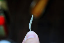 Load image into Gallery viewer, Charcoal Bai Hao Yin Zhen