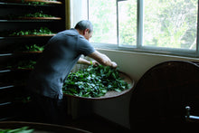 Load image into Gallery viewer, The first batch of national intangible cultural heritage Wuyi rock tea (Dahongpao) production skills inheritor: "Special Grade Handmade Ma Tou Yan Rou Gui" by Mr. Wang Guoxing: