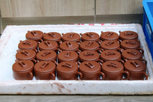 Load image into Gallery viewer, Purple clay teapot "Red Jiang Po Ni/Thin Tire Hanwa Pot, Seiko thin tire, combined with modern aesthetics, simple but not simple, full of details