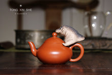 Load image into Gallery viewer, Li Xing Zhu Ni Da Hong Pao 120cc