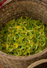 Load image into Gallery viewer, 2022“白鸡冠/White Cockscomb /Bai Ji Guan)