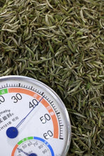 Load image into Gallery viewer, Charcoal Bai Hao Yin Zhen