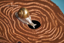 Load image into Gallery viewer, snail tea tray 🐌