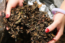 Load image into Gallery viewer, 2015 Wilderness Old White Tea Shou Mei